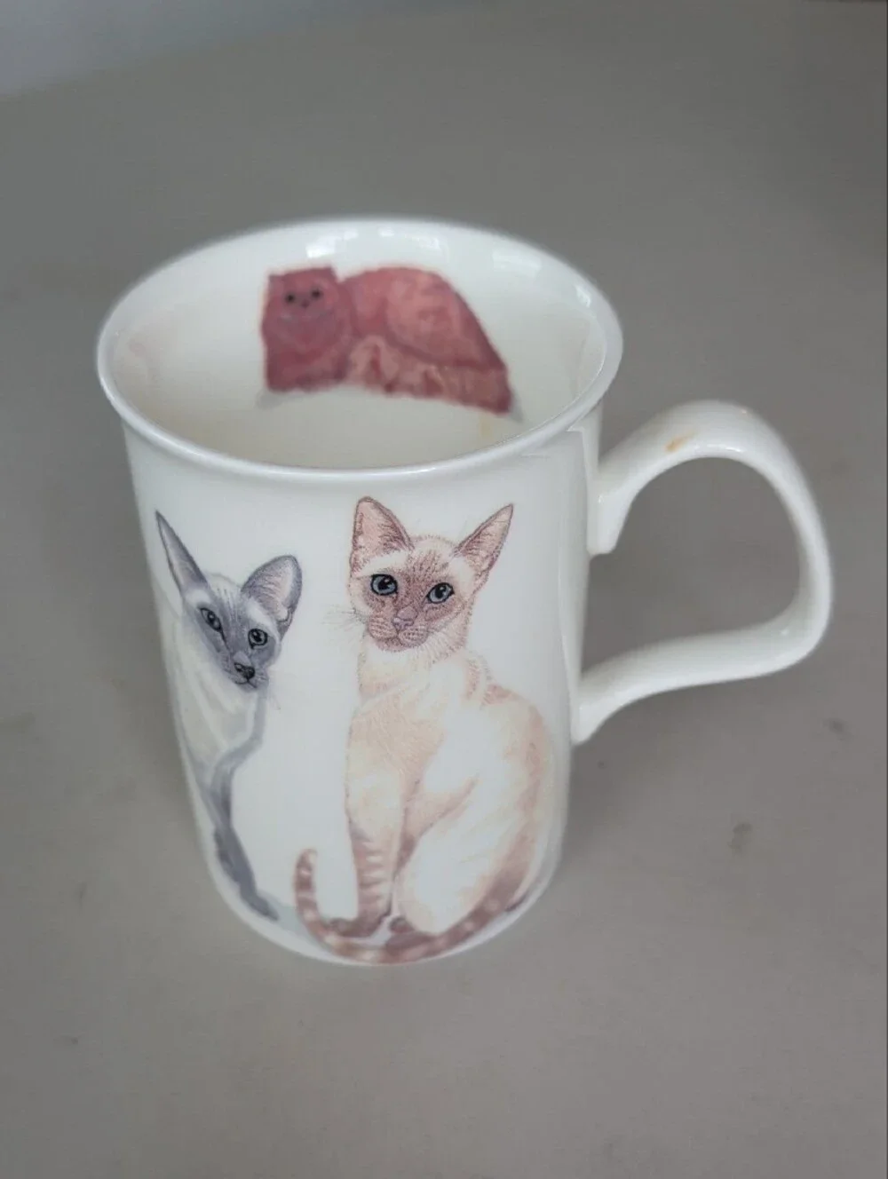 Henley Collection England Ceramic Cat & Dog Pet Lover White Mug Classic